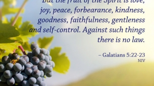 Galatams 5:22-23